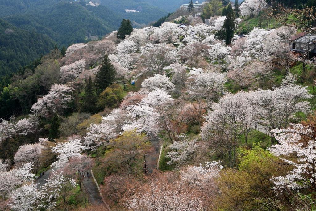 Ryokan Kato Yoshino  Exterior foto